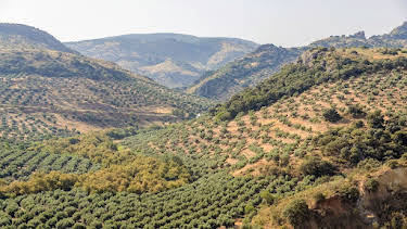06:45: Abenteuer Spanien | Arte | 4/4 2026
