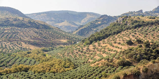 16:55: Abenteuer Spanien | Arte | 2/3 2026