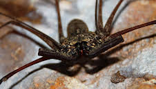 Little Giants (S1 E3)