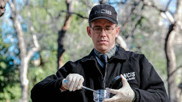 7:00 PM: NCIS (S17 E15) (S17) | 5 USA | 6/19 2026