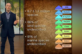 Introduction to Paleontology: The Ancient Roots of Biodiversity