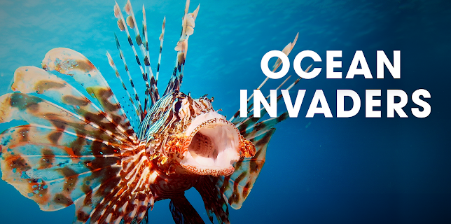 Ocean Invaders (2022)