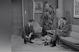 The Joey Bishop Show: A Man's Best Friend