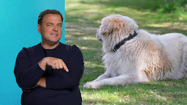 19:05: Die Unvermittelbaren - Mit Martin Rütter | RTL | 3/29 2026