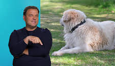 Die Unvermittelbaren - Mit Martin Rütter