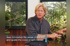 Masters of Mindfulness: Transforming Your Mind and Body: How Can You Find More Awe?