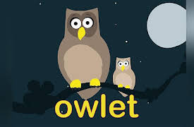 Number Zoo: Learn Baby Animals Episode 2 With Number Zoo