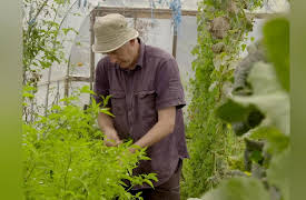 Gourmet Farmer: Little Wonders