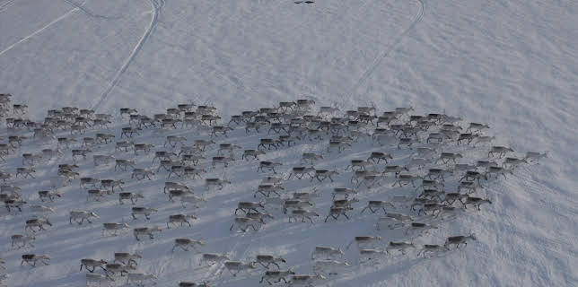 22:00: Norwegian Crime Stories (S4 E5) (S4) | TV3 | 12/10 2025