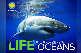 Life in the World's Oceans: Marine Mammal Interactions with Fisheries