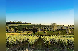 The Great Tours: France through the Ages: Bordeaux and the Coast of Aquitaine