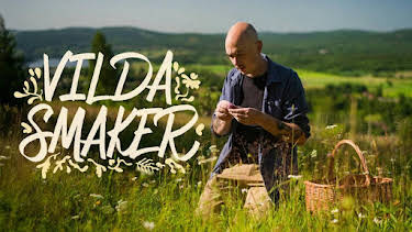 20:00: Vilda smaker - syntolkat | SVT24 | 9/16 2026