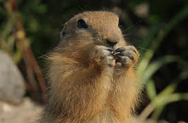 Whales and I: Whales and I Episode 3