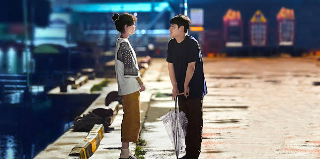 When the Camellia Blooms