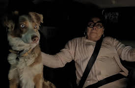 La loca de los perros season-1: La loca de los perros - Fantasma