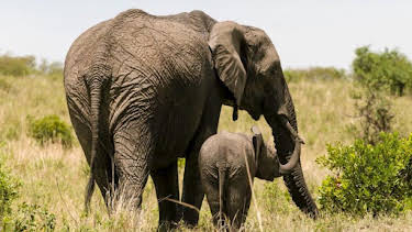 2:00 PM: The Zoo: San Diego (S1) | Discovery Channel | 9/17 2026