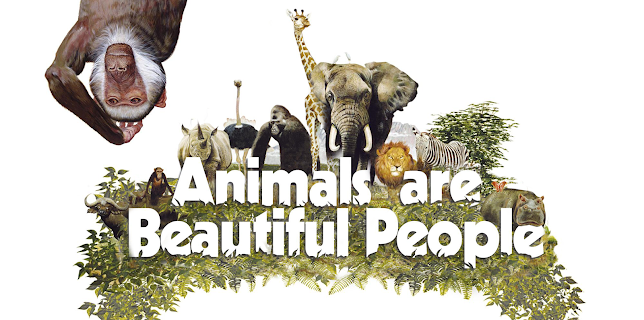 Animals are Beautiful People (1974)