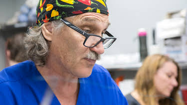 19:00: Dr. Jeff: Rocky Mountain Vet (S4 E22) (S4) | Animal Planet | 2/17 2026