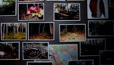 Crime Scene Sweden (S12 E8)