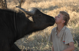 Usannsynlige dyrevenner: Man's Other Best Friend