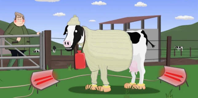 11:25 PM: Fraochy Bay (S3 E4) (S3) | BBC Alba | 11/18 2025