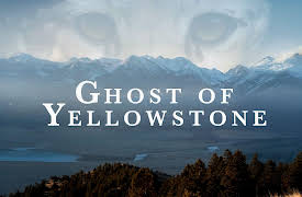 Ghost of Yellowstone: Catch and Kill