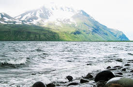 A New History of Life: The Shifting Surface of Planet Earth