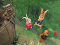 Peter Rabbit