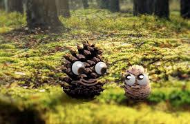 Pops and Peanut: Season 1: Boomerang