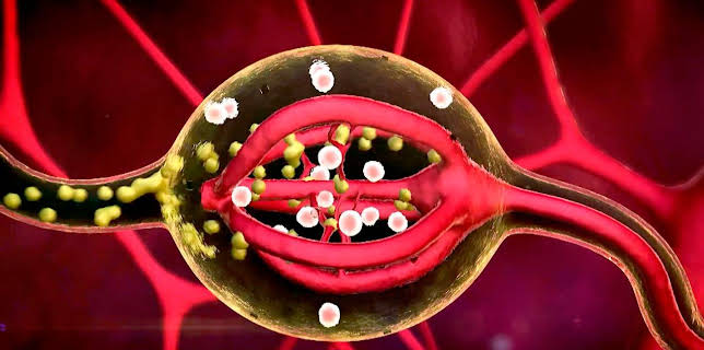 17:00: treffpunkt medizin | ARD Alpha | 12/6 2025
