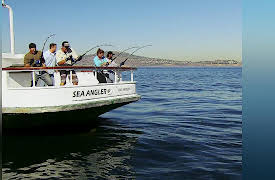 Top Hooker Season 1: The Final Four