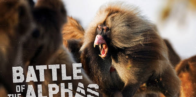 Battle of the Alphas S1