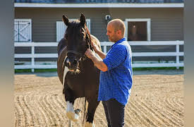 Landing Home: Horses and Coming Home