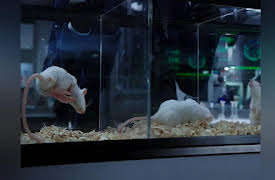 Marvel's Agents of S.H.I.E.L.D. Season 1: FZZT