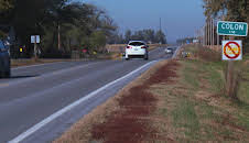 An Unexpected Killer - Die Mörder von nebenan