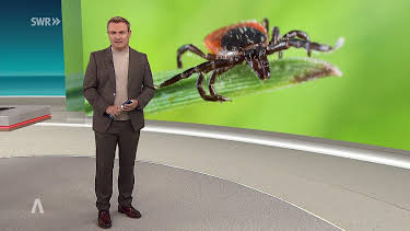 04:30: SWR Aktuell Baden-Württemberg | SWR Fernsehen BW | 10/24 2026
