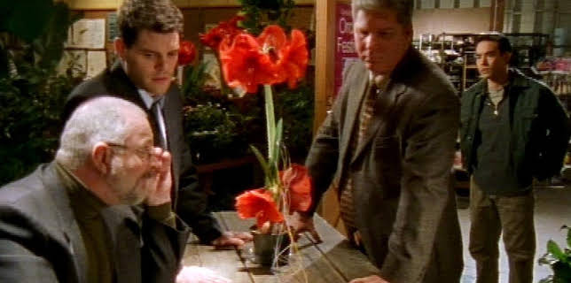 12:15: X-Factor: Das Unfassbare (S4 E40) (S4) | RTL 2 | 3/1 2026