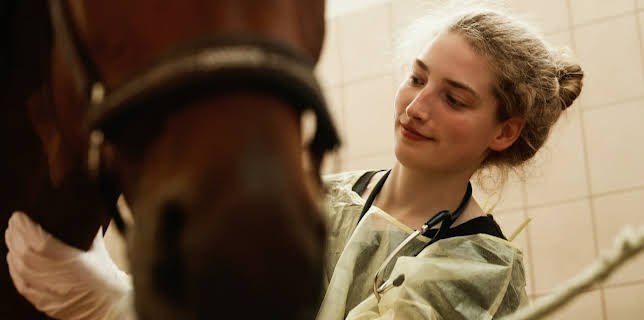 13:55: Tiermedizin in Leipzig – Traumberuf und Knochenjob | MDR Fernsehen | 1/25 2026