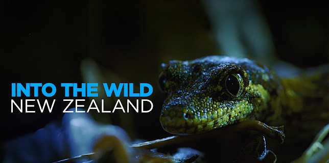 Into the Wild New Zealand