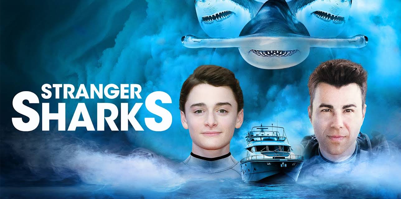 Stranger Sharks