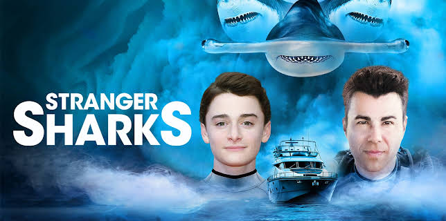 Stranger Sharks