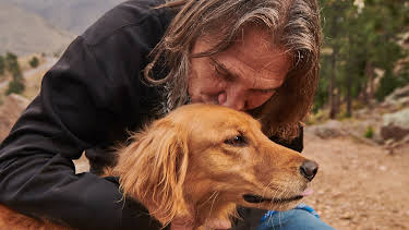 09:20: Dyrlegen i Rocky Mountain (S5 E12) (S5) | Animal Planet | 4/4 2026