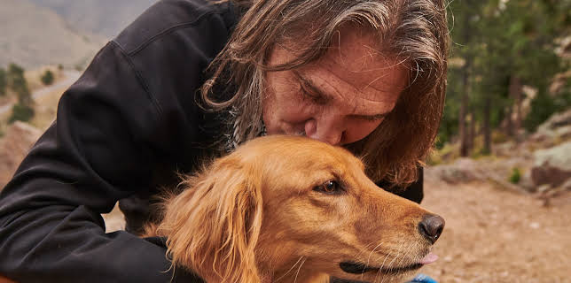 18:00: Dyrlegen i Rocky Mountain (S5 E12) (S5) | Animal Planet | 11/12 2025