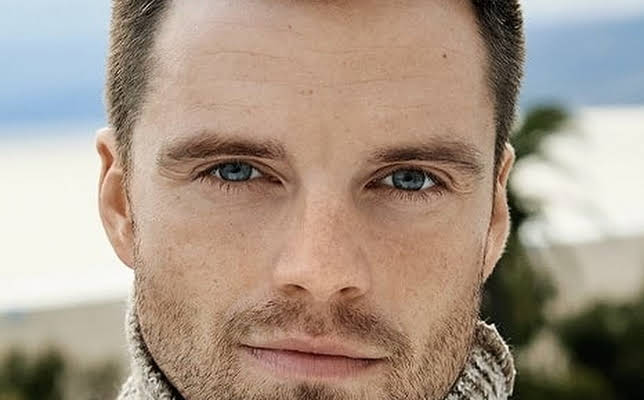 Sebastian Stan
