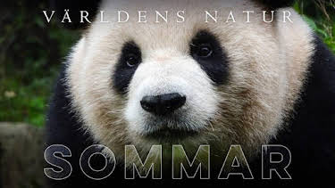 21:00: Världens natur: Sommar | Kunskapskanalen | 5/9 2026