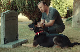 After Life: Avsnitt 1