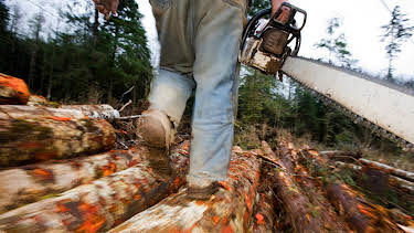 18:00: Ax Men (S8 E11) (S8) | TV10 | 4/10 2026