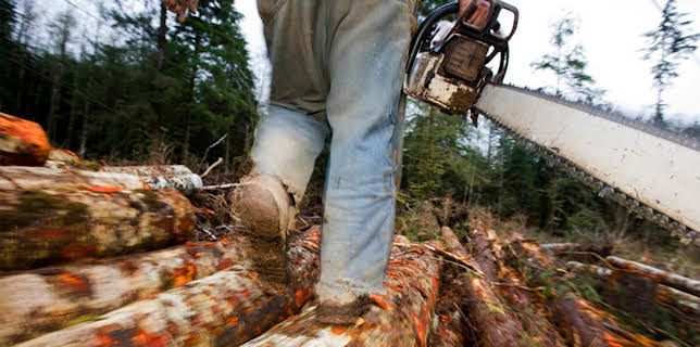 16:00: Ax Men (S8 E11) (S8) | TV10 | 11/18 2025