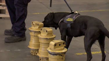 09:55: Grensevakten (S12 E15) (S12) | MAX | 4/4 2026