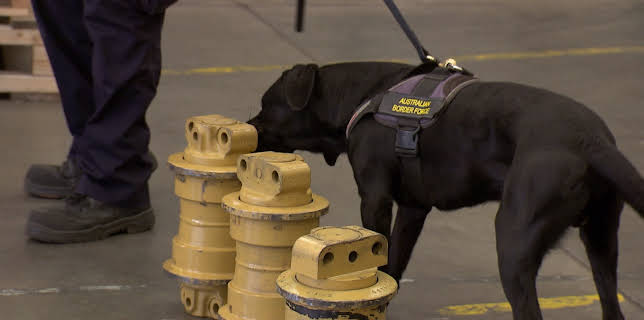 09:30: Grensevakten (S12 E15) (S12) | MAX | 1/20 2026